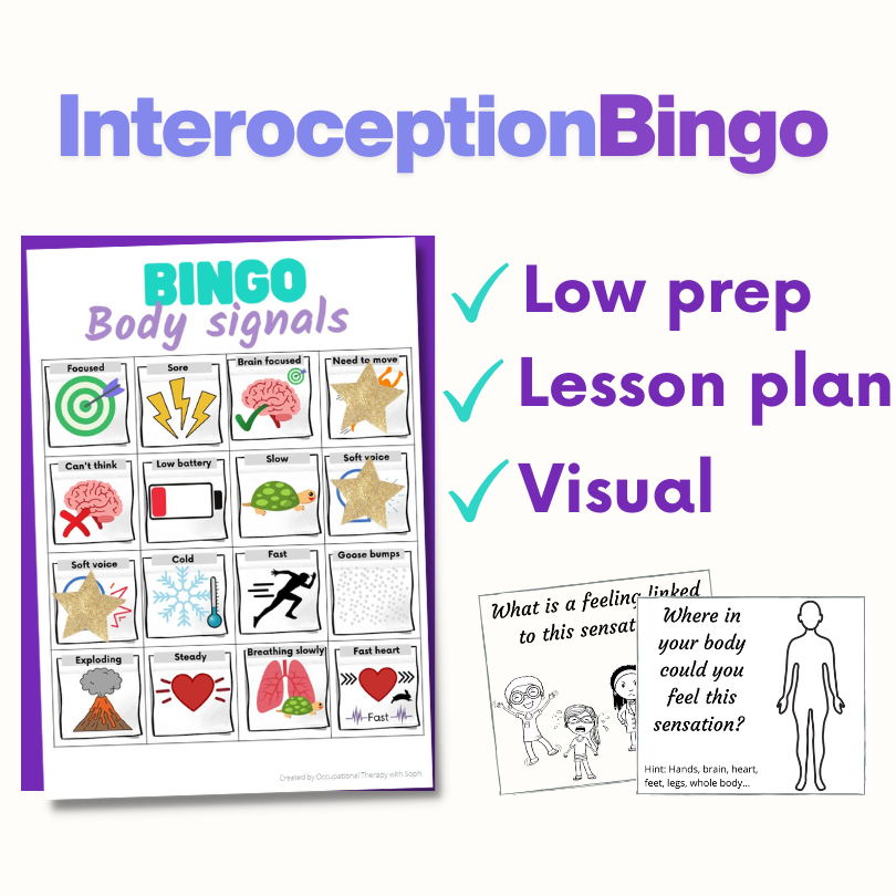 Interoception Bingo Year 2 and above resource preview