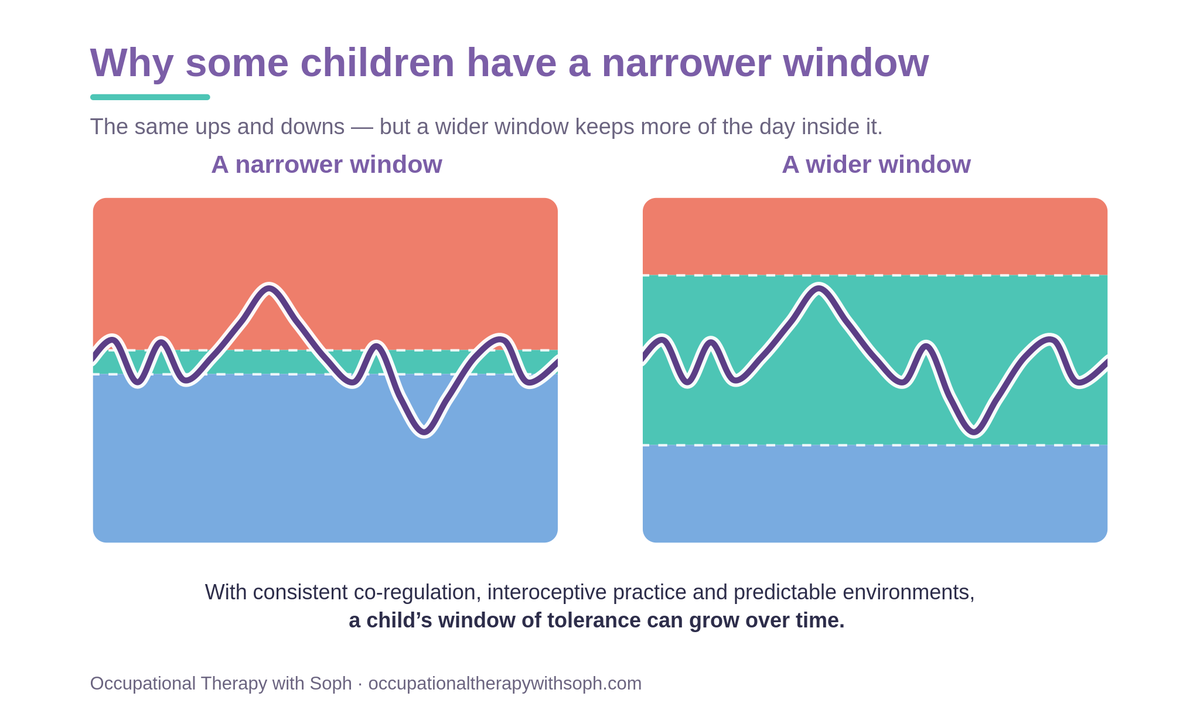 Diagram comparing a narrow window of tolerance with a wider one, showing the same arousal pattern staying inside the wider window.